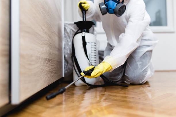 Best Pest Control for Homes  in Epworth, IA