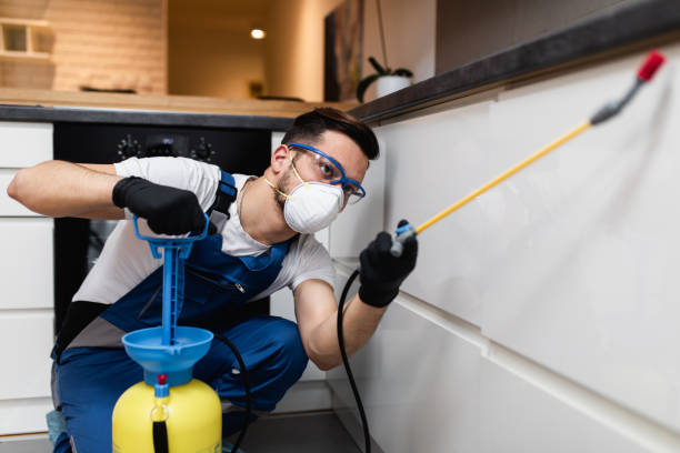 Best Flea Control Services  in Epworth, IA
