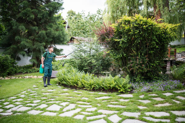 Best Wildlife Control Services  in Epworth, IA