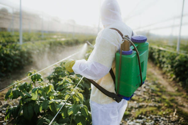 Best Pest Removal Services  in Epworth, IA